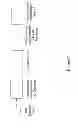 Fig. 28 - REMOTE AND LOCAL TRANSFER OF INFORMATION IN NONINVASIVE HYDRATION MEASUREMENTS