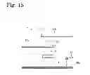 Fig. 16 - BODY FLUID COLLECTION DEVICE