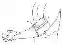 Fig. 01 - Sports Training Devices and Methods for Using Same