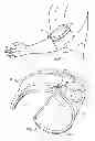 Fig. 04 - Sports Training Devices and Methods for Using Same