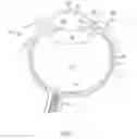 Fig. 02 - EYE COVERINGS FOR CORNEAL HEALING AND METHODS OF USE
