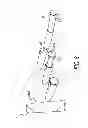 Fig. 12 - Package assembly for or with a tampon applicator