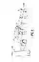 Fig. 14 - Package assembly for or with a tampon applicator