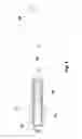 Fig. 02 - Medicament delivery device