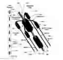 Fig. 03 - Active catheter device and associated system and method