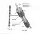 Fig. 04 - Active catheter device and associated system and method