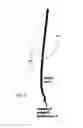 Fig. 07 - Active catheter device and associated system and method