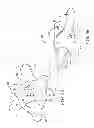 Fig. 07 - Medical device anchoring apparatus and methods