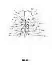 Fig. 33 - Systems and methods for sternum repair