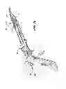 Fig. 07 - Surgical cable tensioning system
