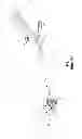 Fig. 02 - Magnetic compression anastomosis device