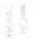Fig. 09 - Systems and methods for making and using electrical stimulation leads with shaped mesh contact assemblies