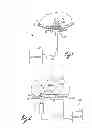 Fig. 02 - Method of destroying tissue cells by electroporation