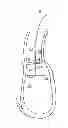 Fig. 01 - TAVR Ventricular Catheter