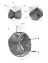 Fig. 04 - Prosthetic heart valve