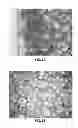 Fig. 06 - Methods for creating foam-like texture