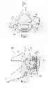 Fig. 02 - Interbody device and plate for spinal stabilization and instruments for positioning same