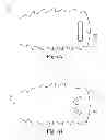 Fig. 04 - Interbody device and plate for spinal stabilization and instruments for positioning same