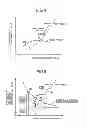 Fig. 04 - Control device for vehicle drive device