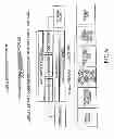 Fig. 09 - Molecular profiling of tumors