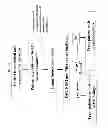 Fig. 79 - Molecular profiling of tumors