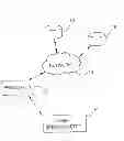 Fig. 01 - Detection and Quantification of Polypeptides Using Mass Spectrometry