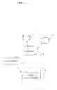Fig. 02 - Detection and Quantification of Polypeptides Using Mass Spectrometry