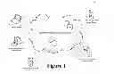 Fig. 02 - WIRELESS COMMUNICATION SYSTEMS AND PROCESSES FOR HOSPITALITY SERVICES