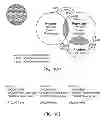 Fig. 20 - SYSTEMS AND METHODS FOR PROVIDING MUSIC