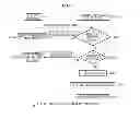 Fig. 07 - FINANCIAL APPARATUS, METHOD AND SYSTEM FOR CONTROLLING THE APPARATUS