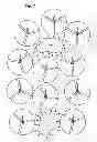 Fig. 08 - System and Method for Analyzing Strategic Network Investments in Wireless Networks