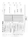 Fig. 03 - SYSTEM AND METHOD FOR MANAGING DATABASE OF BUYERS
