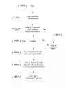 Fig. 01 - Item Response Methods as Applied to a Dynamic Content Distribution System and Methods