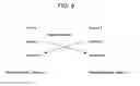 Fig. 07 - Method and system in communication devices for Pre selected partner search