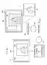 Fig. 06 - Virtual meeting video sharing