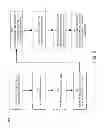 Fig. 03 - Client-independent network supervision application
