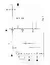 Fig. 10 - COMPUTING DEVICE, A SYSTEM AND A METHOD FOR PARALLEL PROCESSING OF DATA STREAMS
