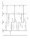 Fig. 06 - Stale pointer detection with overlapping versioned memory