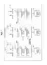Fig. 02 - STORAGE APPARATUS AND MODULE-TO-MODULE DATA TRANSFER METHOD