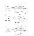 Fig. 03 - Apparatuses and methods for pre-fetching and write-back for a segmented cache memory