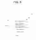 Fig. 09 - Access to memory region including confidential information