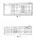 Fig. 10 - System and method for controlling automated page-based tier management in storage systems