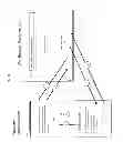 Fig. 05 - Systems and Methods for Providing a Virtual Device for Controlling Streaming of Music
