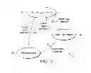 Fig. 06 - TOUCH SCREEN HOVER INPUT HANDLING