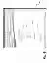 Fig. 05 - Applicant screening