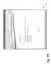 Fig. 20 - Applicant screening