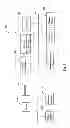 Fig. 06 - Biometric authentication