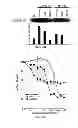 Fig. 07 - METHODS AND COMPOSITIONS FOR DETECTING AND MODULATING A NOVEL MTOR COMPLEX