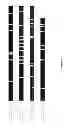 Fig. 09 - Compositions and Methods for the Generation of Disease Resistant Crops