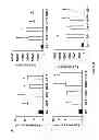 Fig. 17 - Compositions and Methods for the Generation of Disease Resistant Crops